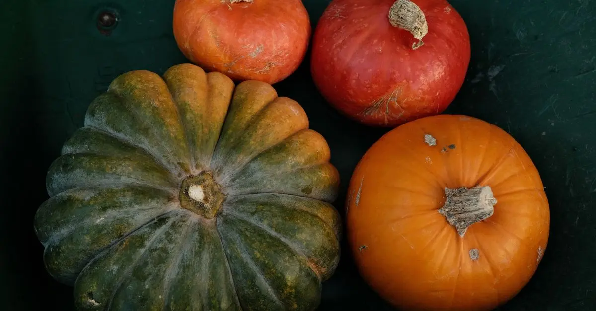 Top 10 des citrouilles les plus surprenantes à découvrir