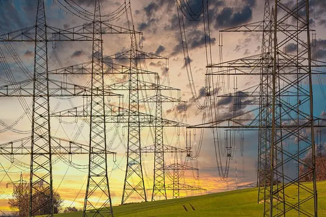 Guide d'achat : meilleur scarificateur électrique