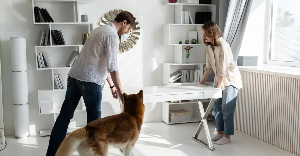 10 Tips for a Pet-Friendly Home Office Setup