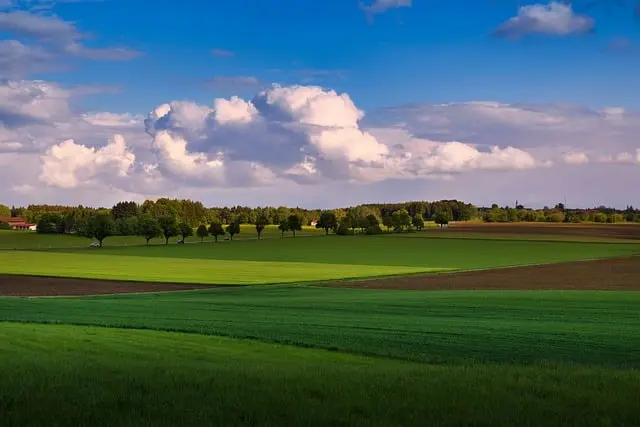 Comment choisir un système d'irrigation adapté à vos cultures