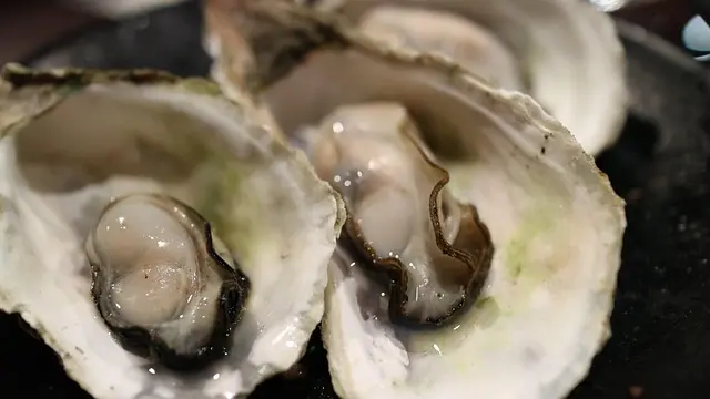 Les Variétés de Marins : Ingrédients Uniques en Cuisine Bretonne