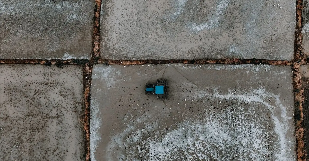 Comment Trouver des Pièces Détachées pour Tracteur au Meilleur Prix