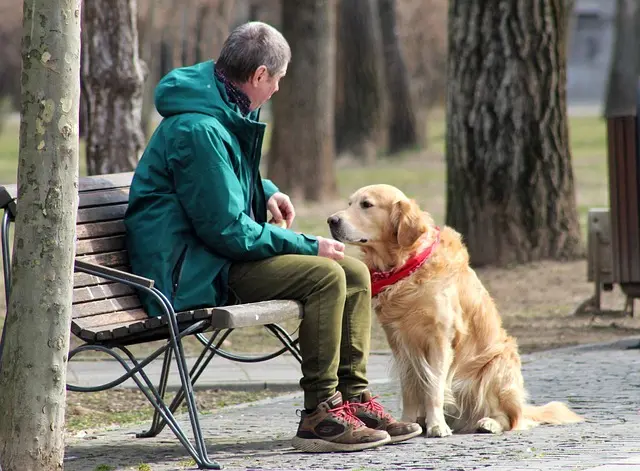 10 Essential Tips for Hosting a Pet-Friendly Networking Event