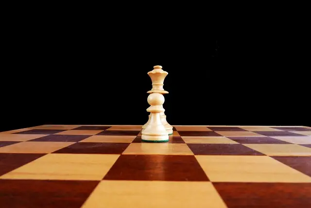 Stratégies Gagnantes : Les Astuces des Champions d'Échecs