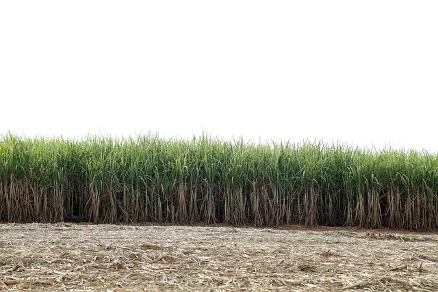 Comment choisir la remorque agricole idéale pour vos besoins