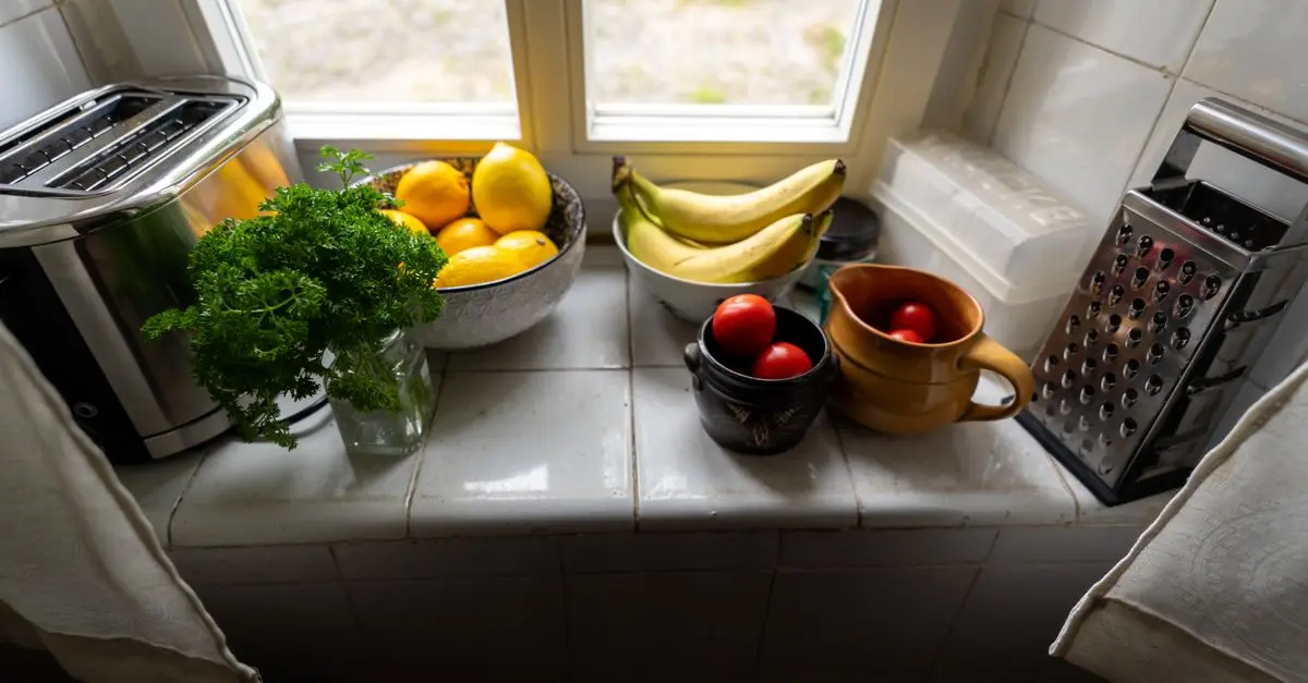Guide Complet pour Cultiver des Légumes en Intérieur