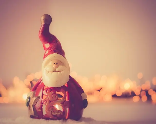 Décorations de Noël Écologiques : Créez une Ambiance Magique