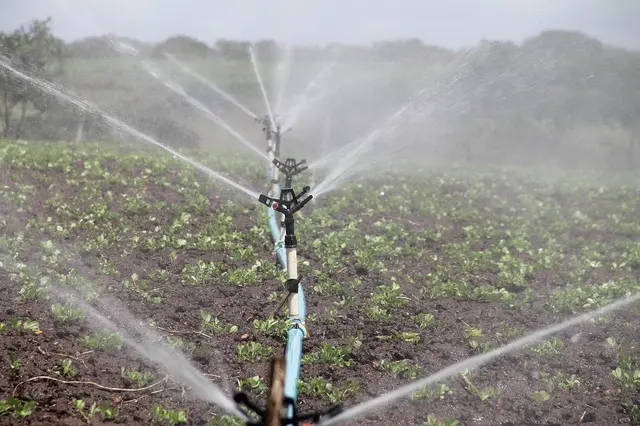 Les erreurs à éviter lors de l'installation d'un système d'irrigation