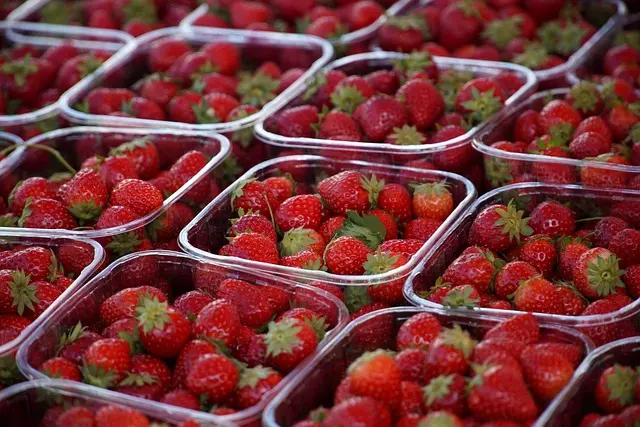 Comment choisir les meilleurs produits bio pour votre santé