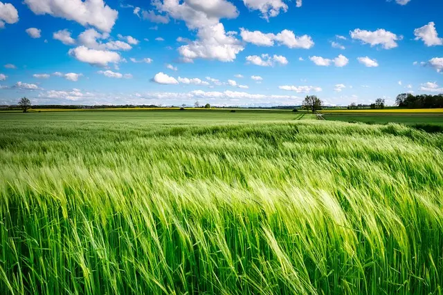 Comment utiliser efficacement une remorque agricole : Guide pratique