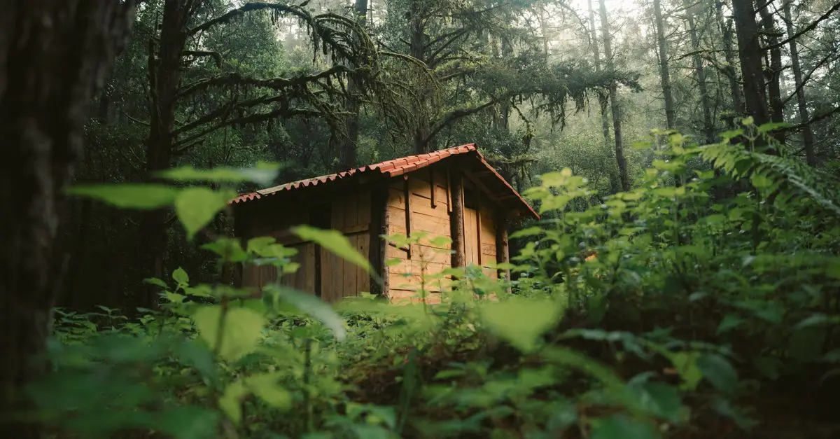 A Guide to Eco-Friendly Travel Practices