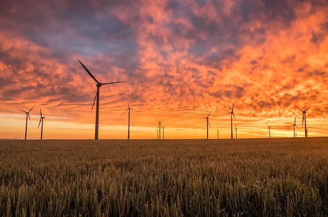 Najciekawsze nowości technologiczne na 2026 rok: Co warto wiedzieć?