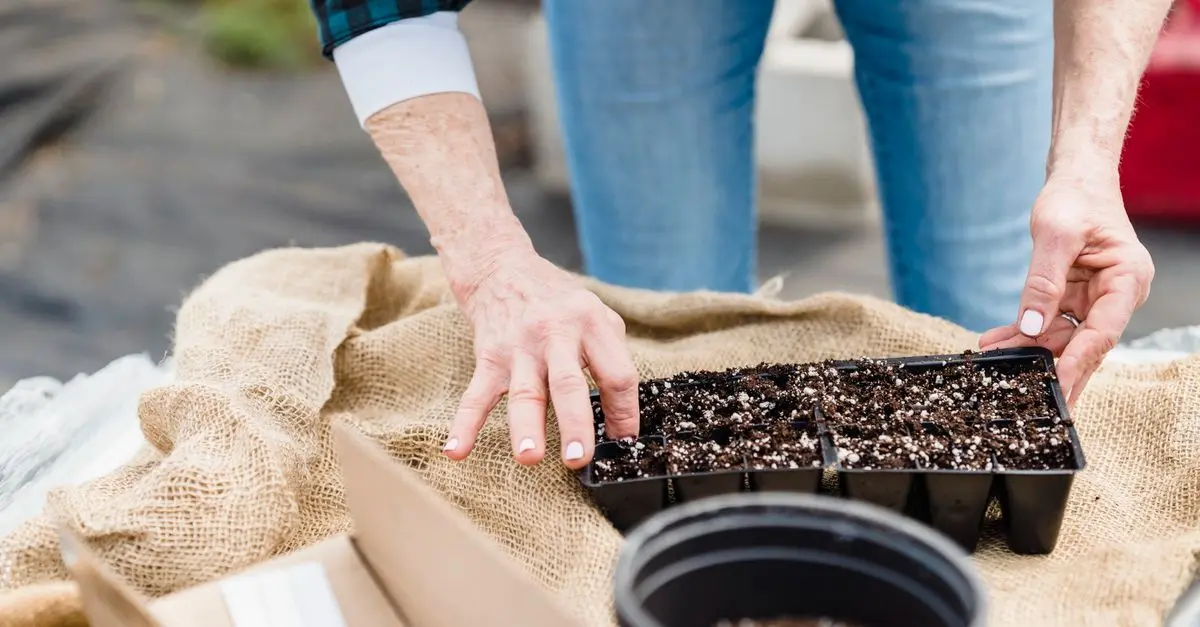 5 Conseils Indispensables pour Réussir vos Semis Printaniers