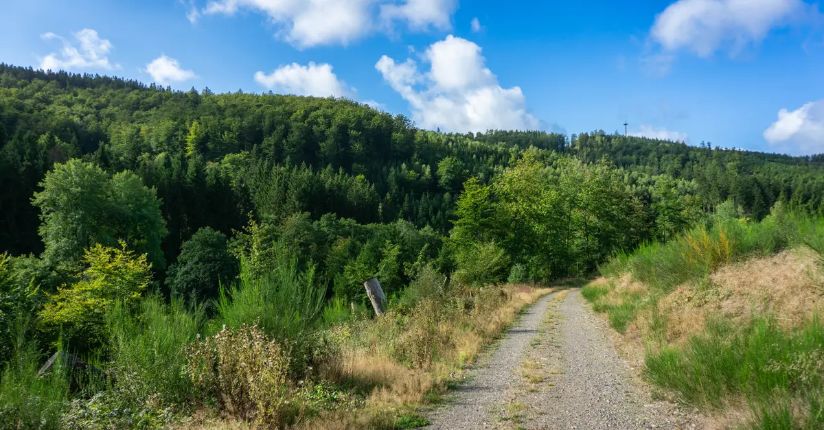 Top 10 des randonnées à faire en Belgique pour les aventuriers
