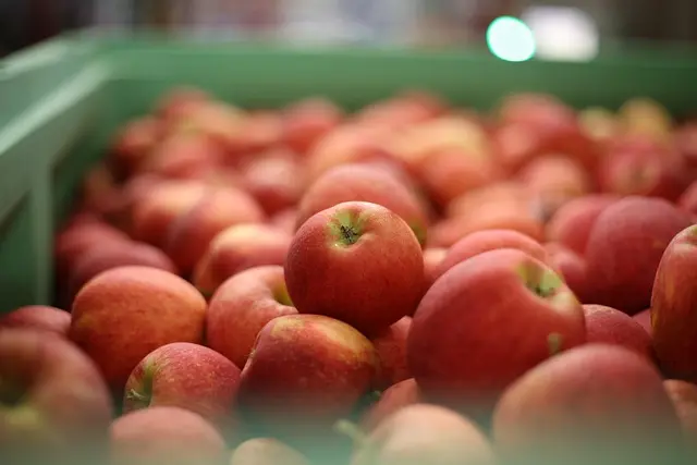 Comment choisir des fournitures agricoles adaptées à votre exploitation