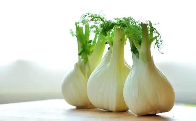 Comment Suivre Son Plan d'Alimentation Saine Facilement