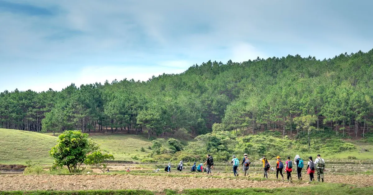 Todo lo que necesitas saber sobre el Camino de Santiago