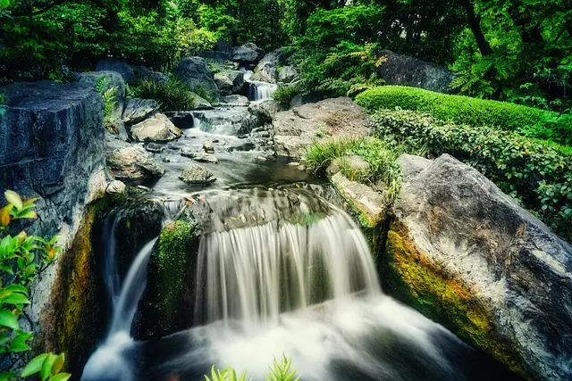 Comment Intégrer le Jardinage Zen à Votre Quotidien