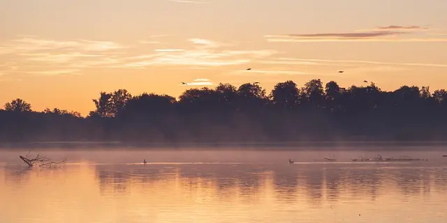 Cómo la Meditación Puede Mejorar Tu Bienestar Diariamente