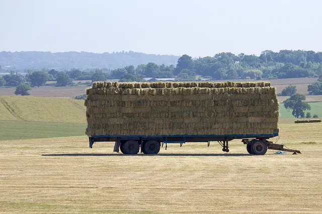 Guide d'achat remorque agricole : critères et produits