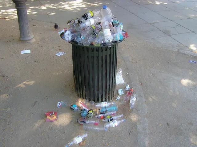 Comment optimiser la gestion des déchets à votre domicile