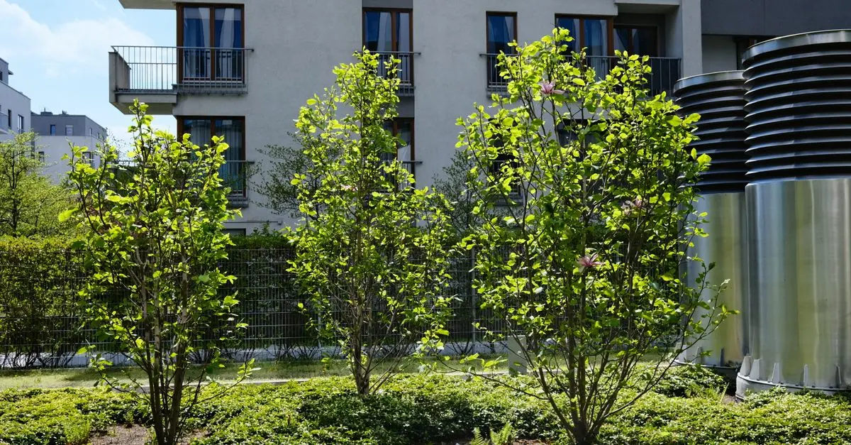 Ekologiczne budownictwo: 5 kluczowych błędów do uniknięcia