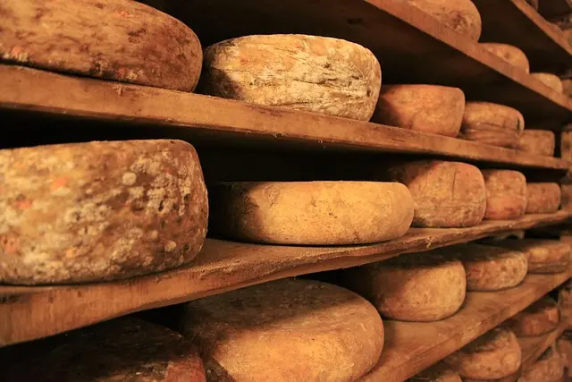Les fromages artisanaux du monde : fascinantes découvertes