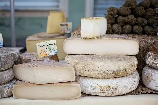 Guide complet des fromages artisanaux : caractéristiques et recettes
