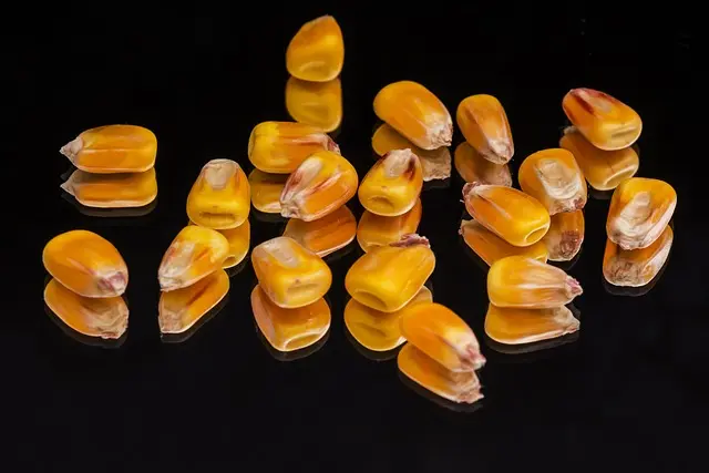 Comment choisir des fournitures agricoles essentielles pour votre ferme