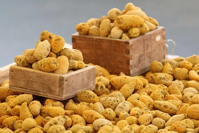 Les secrets pour chiner des objets anciens avec succès