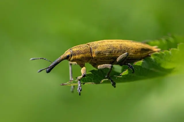 Comment intégrer l'écologie bio dans votre routine quotidienne