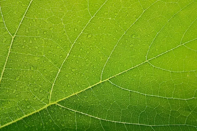 Comment améliorer la durabilité de vos éco toners ?