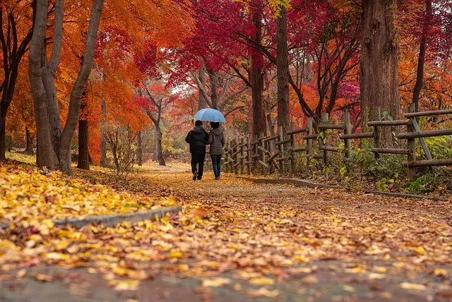 How to Create an Effective Walking Routine for Fitness Success