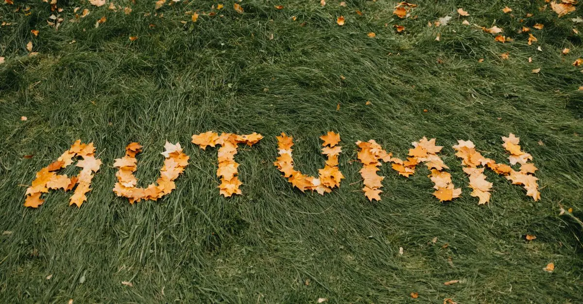 Tendances Environnementales des Soldes Automne 2026