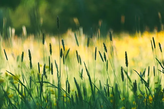 Comprendre l'Informatique Edge : Avantages et Applications