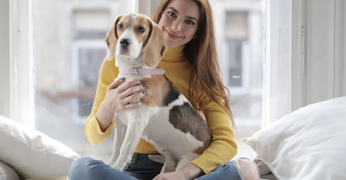 10 conseils pour assurer le confort de votre animal âgé