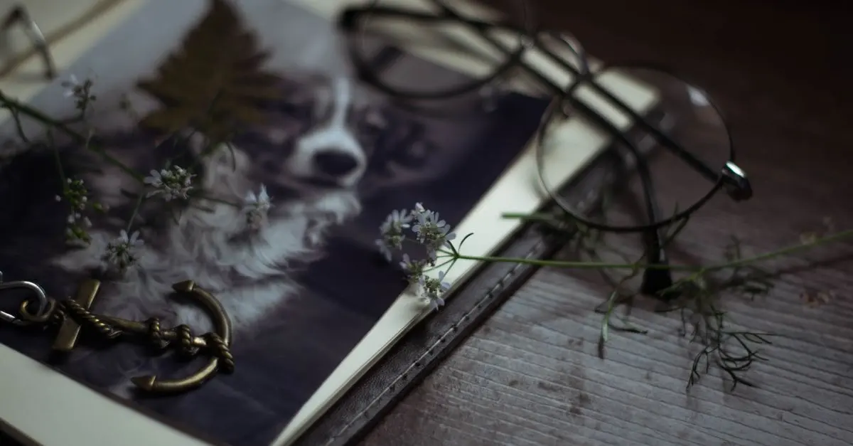 Essential Tips for Building a Stunning Modelling Portfolio