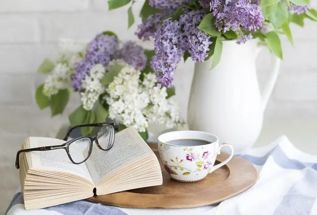 Comment substituer efficacement une vitre : Guide étape par étape