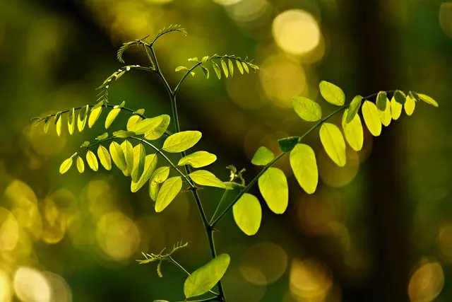 Les 5 Techniques de Relaxation à Tester pour Votre Escapade Bien-Être