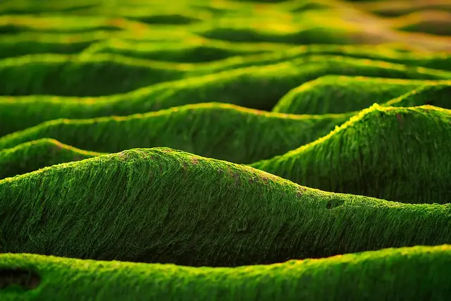 Jakie nowe gry warto wypróbować? Przewodnik dla graczy