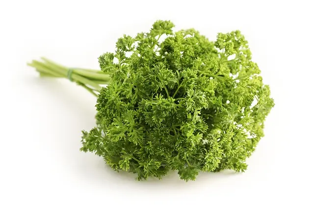 Guide Complet pour Cultiver des Légumes Aromatiques