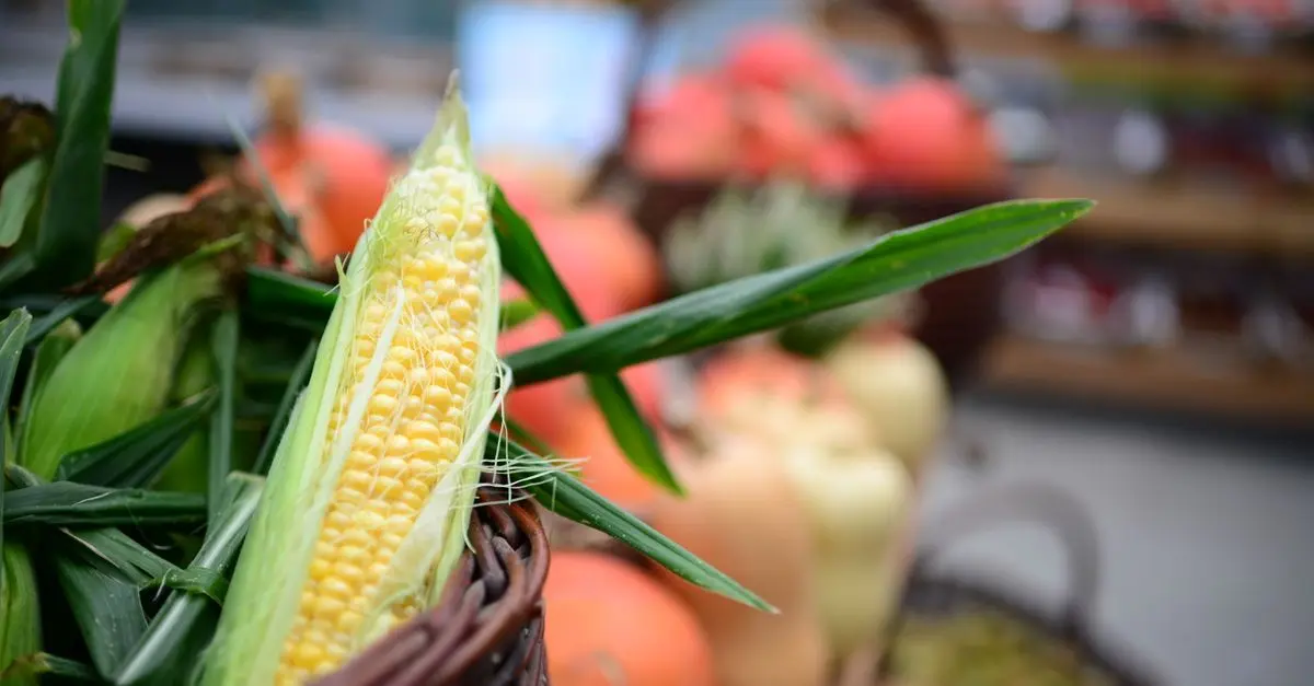 Les tendances du bio en ligne à suivre en 2026
