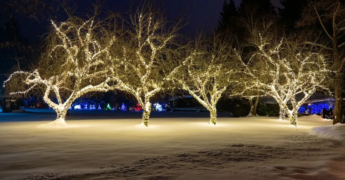 Top 10 Tips for Choosing the Right Outdoor Lighting