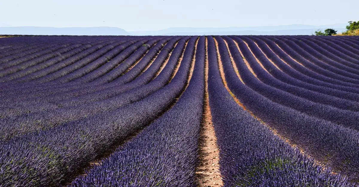 Comment Choisir la Destination Parfaite pour Vos Vacances en France