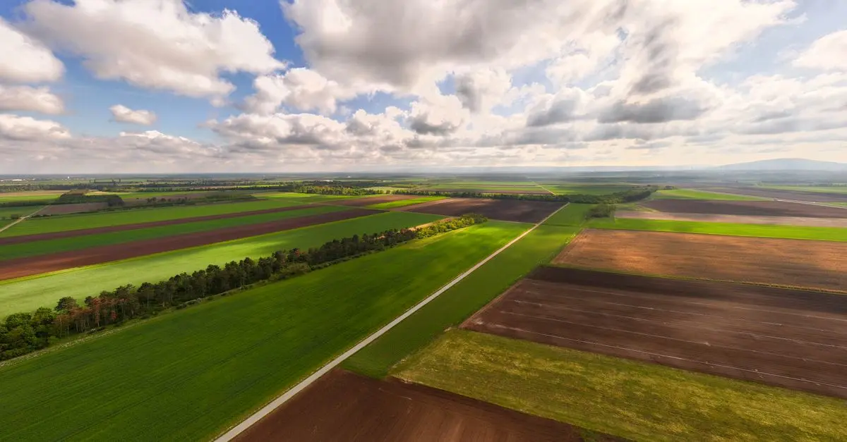 Les meilleurs conseils pour maximiser vos rendements agricoles