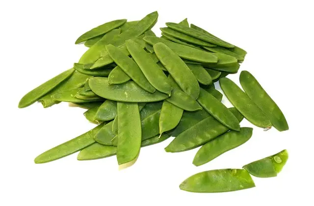 Guide Pratique pour Cultiver des Légumes Écologiques