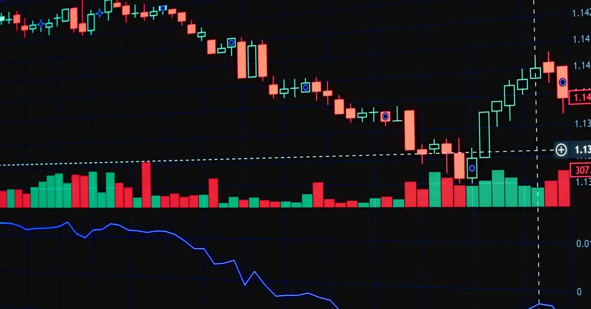 Best Investment Platforms for Beginners