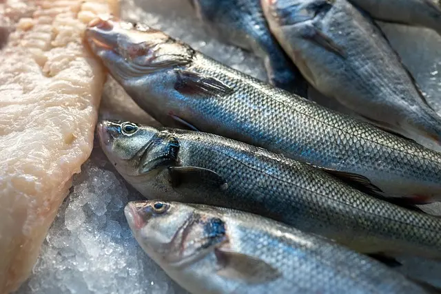 Les Meilleures Astuces pour Choisir des Fruits de Mer Frais