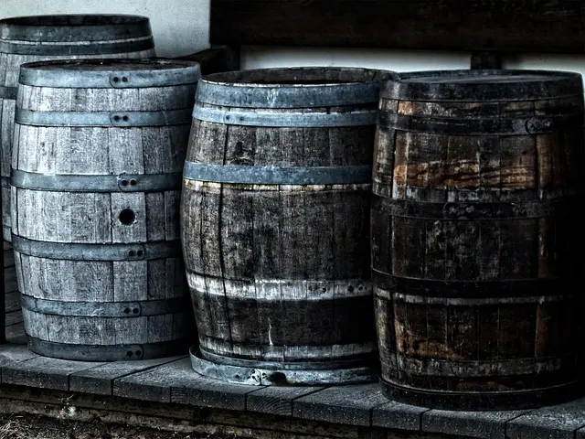 Cómo maridar vinos españoles con platos tradicionales