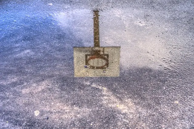 Le Style de Jeu Unique des Légendes du Basket